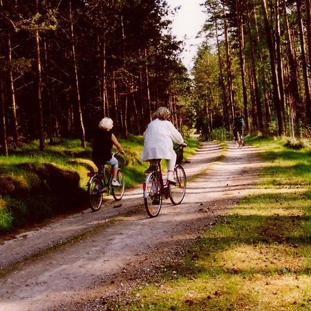 Kleine Auszeit - Natur Und Erholung In Mecklenburg Reimershagen Extérieur photo