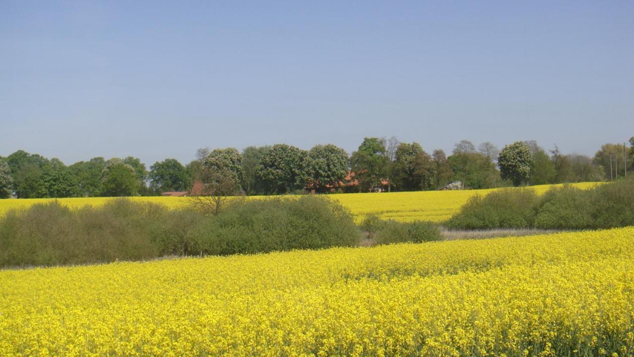 Kleine Auszeit - Natur Und Erholung In Mecklenburg Reimershagen Extérieur photo