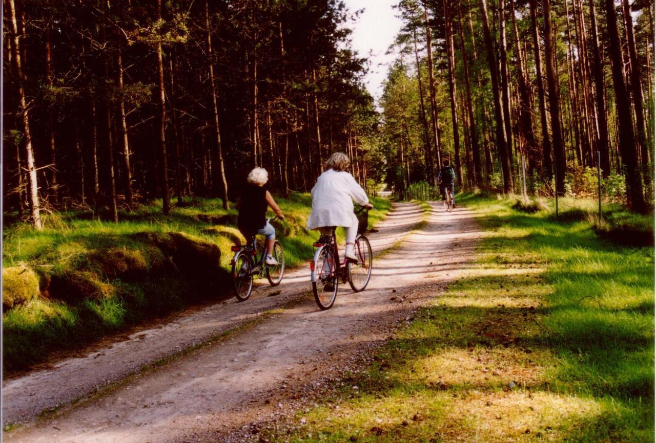 Kleine Auszeit - Natur Und Erholung In Mecklenburg Reimershagen Extérieur photo